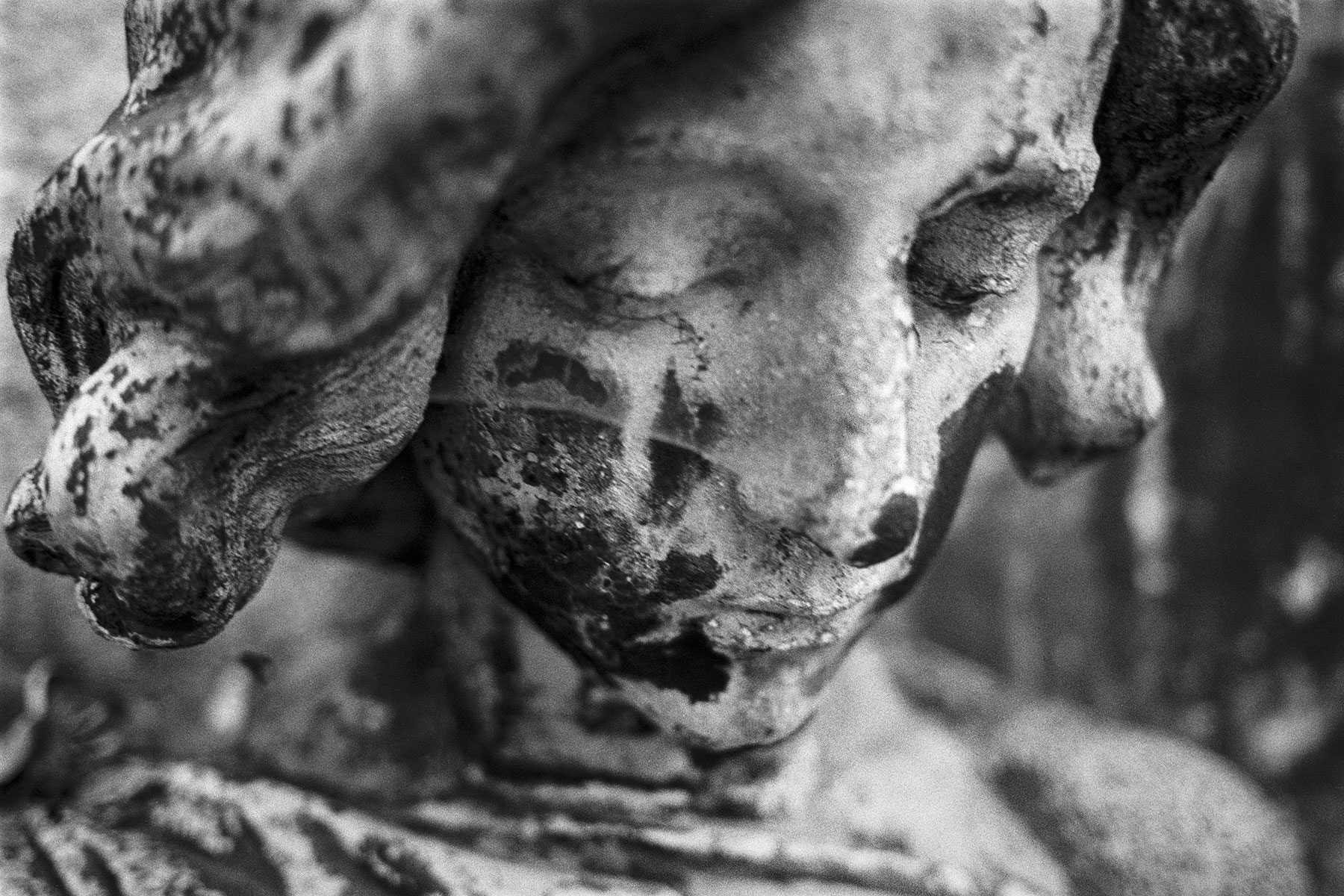 Intensive Schwarz-Weiß Friedhofsportraits im virtuellen Revival der Ausstellung 'Augenzeugen' von Fotograf Jürgen Sauer