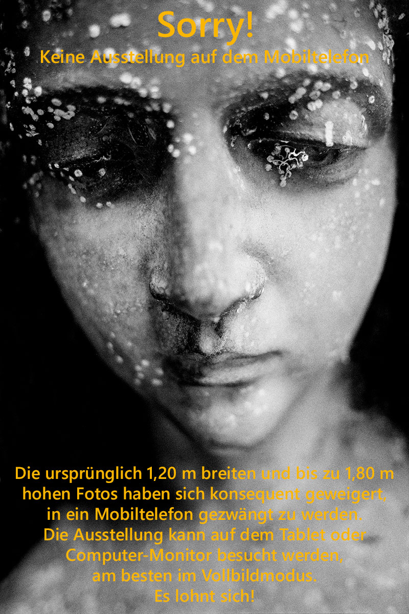 Ausstellung Augenzeugen Mobilansicht